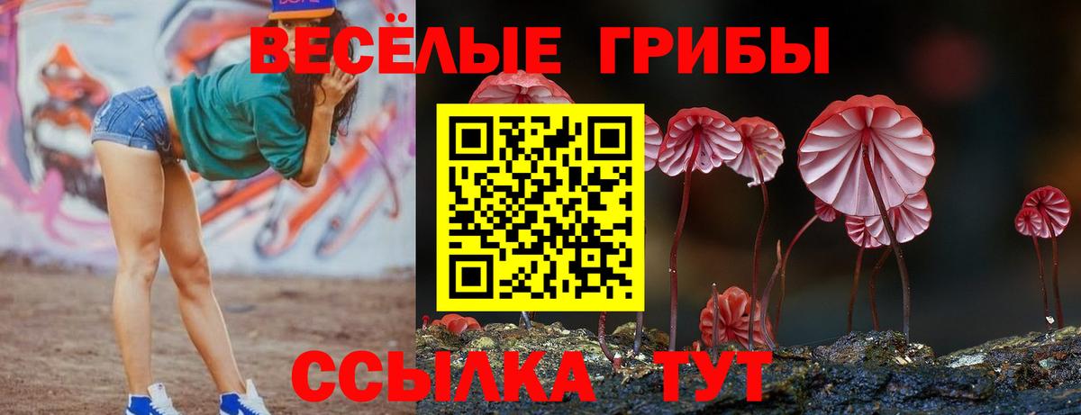 Псилоцибиновые грибы прущие грибы Надым